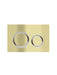 Meir Sigma 21 Dual Flush Plates to suit Geberit