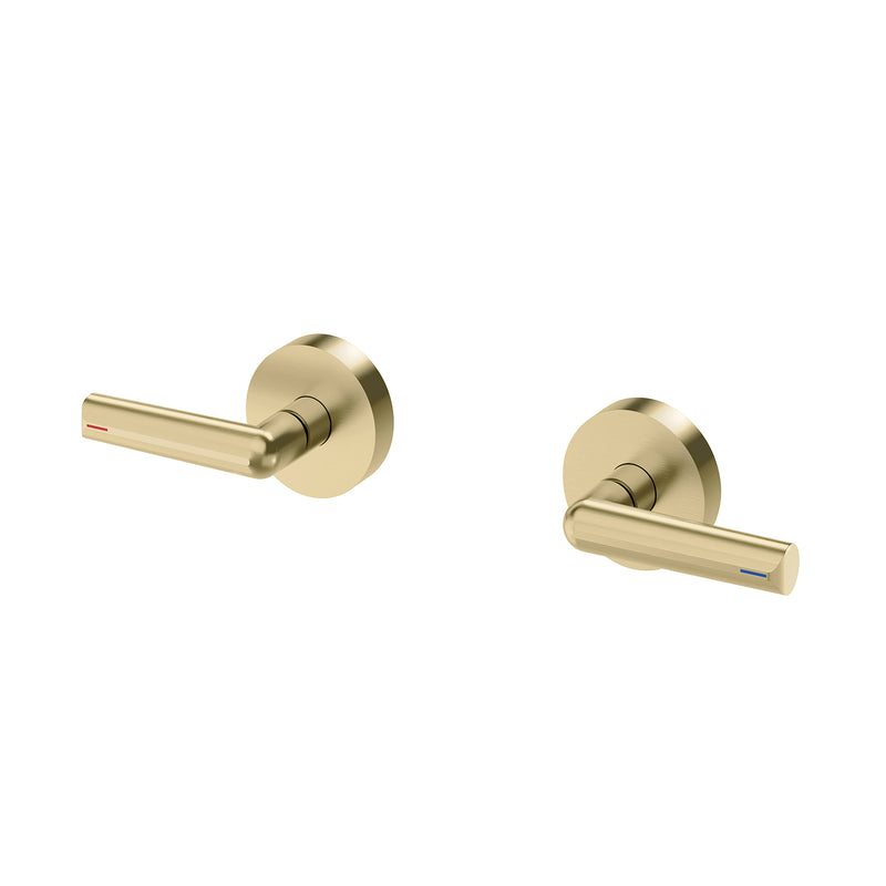 Phoenix Vivid Slimline Plus Lever Wall Top Assemblies – Lead Free