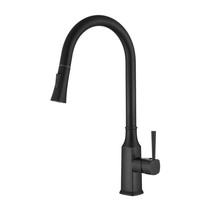 MODERN NATIONAL Helena Pull Out Kitchen Mixer