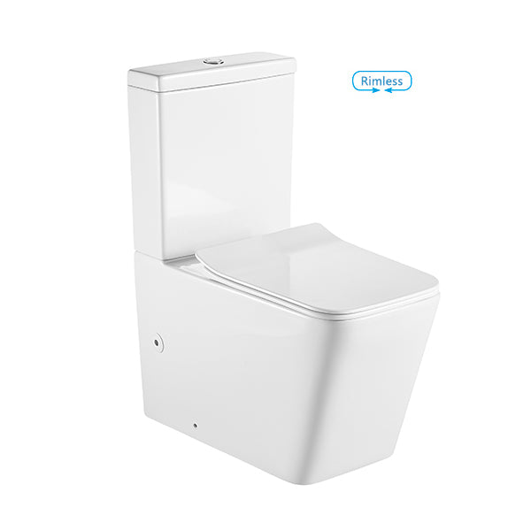 BNK Naga Caserta Back To Wall Rimless Toilet Suite