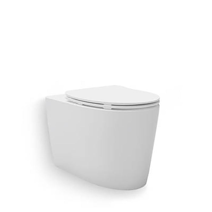 Reach Grande® Wall Faced Toilet