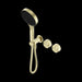Nero Serenity Progressive Shower System With Metal Handle And Serenity Hand Shower