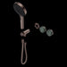 Nero Serenity Progressive Shower System with Verde Alpi Handle and Serenity Hand Shower Trim Kit(requires in Wall Body 24c020)