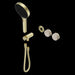 Nero Serenity Progressive Shower System with Rome Travertine Handle and Serenity Hand Shower Trim Kit (Requires in Wall Body 24c020)