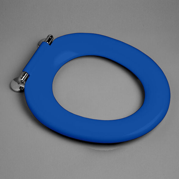 Caroma Pedigree II Single Flap Care Seat Sorrento Blue with GermGard®