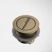 Caroma Dual Flush Round Bezel & Button - Brushed Brass