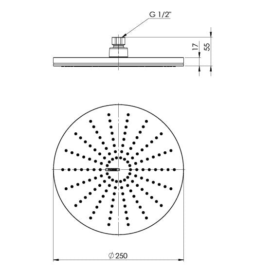 Phoenix NX Vive Shower Rose