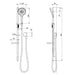 Phoenix NX Vive Rail Shower