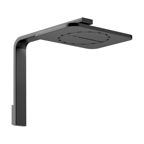Phoenix NX Orli Shower Arm & Rose