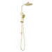 Phoenix Ormond Twin Shower – 4 Star