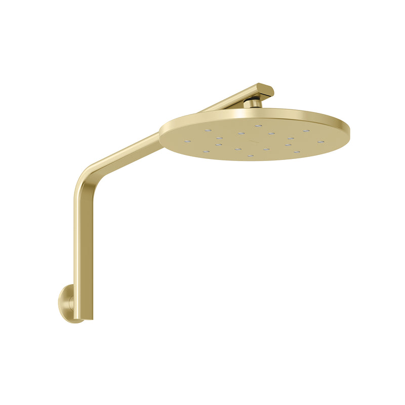 Phoenix Oxley High-Rise Shower Arm and Rose