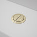 Caroma Urbane II Wall Faced Close Coupled Flush Button