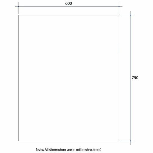 Thermogroup Montana Rectangle 25mm Bevel Edge Mirror Glue-to-Wall and Demister