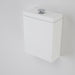 Caroma Care 800 Close Coupled 4S BE Cistern GermGard®