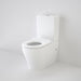 Caroma School Smart CF WFCC BI Suite with Liano Single Flap White Seat