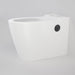 Caroma Care 660 Wall Faced Close Coupled Easy Height BE Pan with Armrest Holes GermGard®