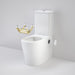 Caroma Care 660 Cleanflush Wall Faced Close Coupled Easy Height BE Suite with Armrest Mounting Kit - with GermGard®