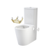 Caroma Care 660 Cleanflush Wall Faced Close Coupled Easy Height BE Suite with Armrest Mounting Kit - with GermGard®