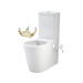 Caroma Care 660 Cleanflush Wall Faced Close Coupled Easy Height BI Suite with Armrest Mounting Kit - with GermGard®