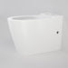 Caroma Care 660 Cleanflush Wall Faced Close Coupled Easy Height BI Pan with Uniorbital Connector GermGard