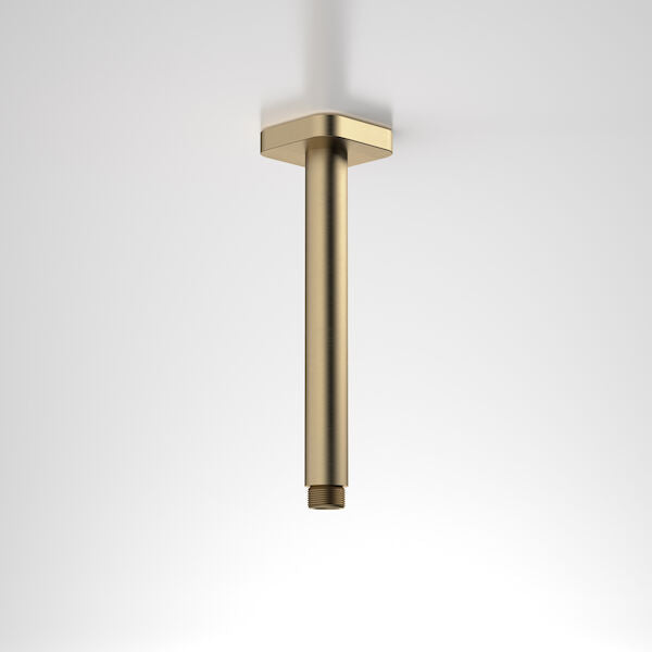 Caroma Luna Straight Arm Square Flange 210 Brushed Brass