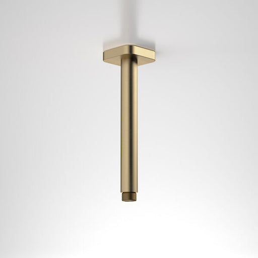 Caroma Luna Straight Arm Square Flange 210 Brushed Brass