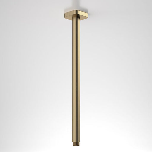 Caroma Luna Straight Arm Square Flange 410 Brushed Brass