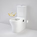 Caroma Opal Cleanflush Easy Height Wall Faced Close Coupled Suite with Armrest Mounting Kit
