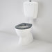 Caroma Care 400 Connector (S Trap) Suite with Caravelle Care Single Flap Seat - Anthracite Grey