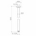Caroma Urbane II 500mm Ceiling Shower Arm - Brushed Brass