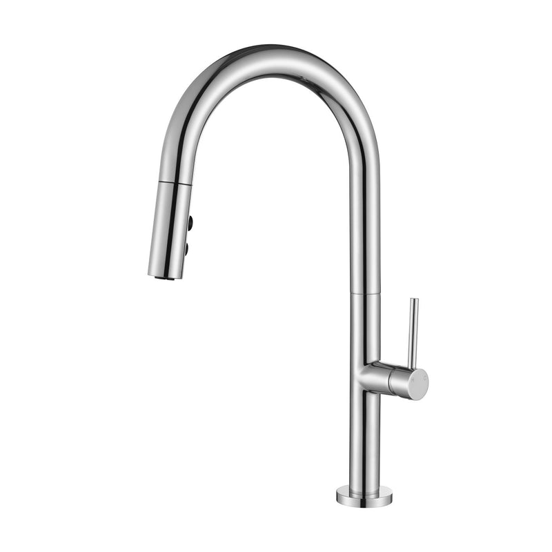 Modern National Bentlee Pull Out Kithen Mixer