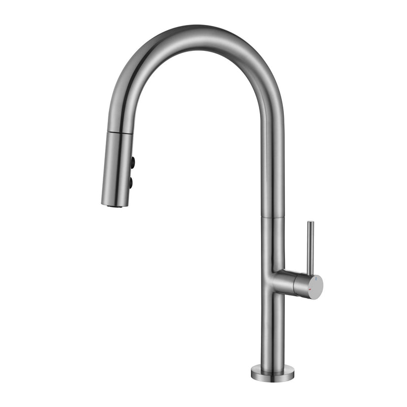 Modern National Bentlee Pull Out Kithen Mixer