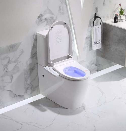 Lafeme Medina Toilet Bidet Seat