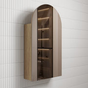 Aulic Canterbury Arch Carita Shaving Cabinet 500MM