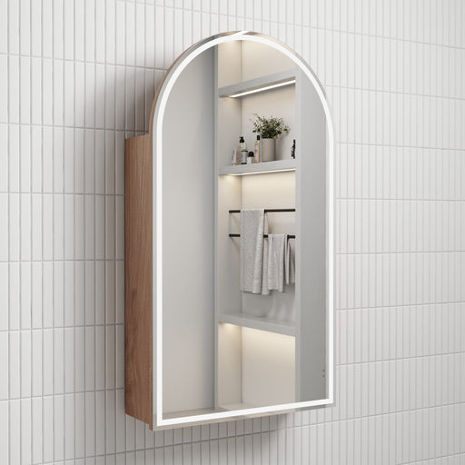 Aulic Canterbury Arch LED Carita Shaving Cabinet