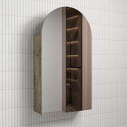 Aulic Canterbury Arch Carita Shaving Cabinet max