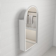Aulic Canterbury Arch LED Carita Shaving Cabinet matte white brushed nickel