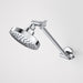 Caroma Luna Adjustable Shower And Arm