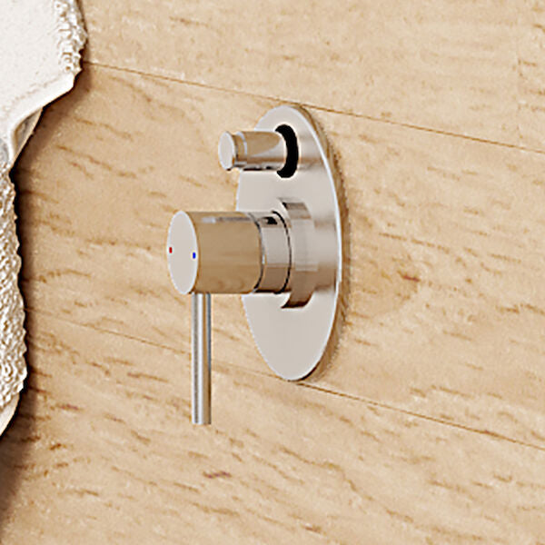 Caroma Titan Stainless Steel Bath/Shower Mixer with Diverter