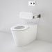 Caroma Care 800 Cleanflush® Invisi Series II® Wall Faced Suite with Backrest and Caravelle Care Single Flap Seat