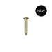 Meir Round Ceiling Shower Arm