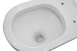 Zumi Vera Extra High Whirlpool Flushing Back to Wall Toilet Suite