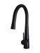 Meir Round Pull Out Kitchen Mixer Tap