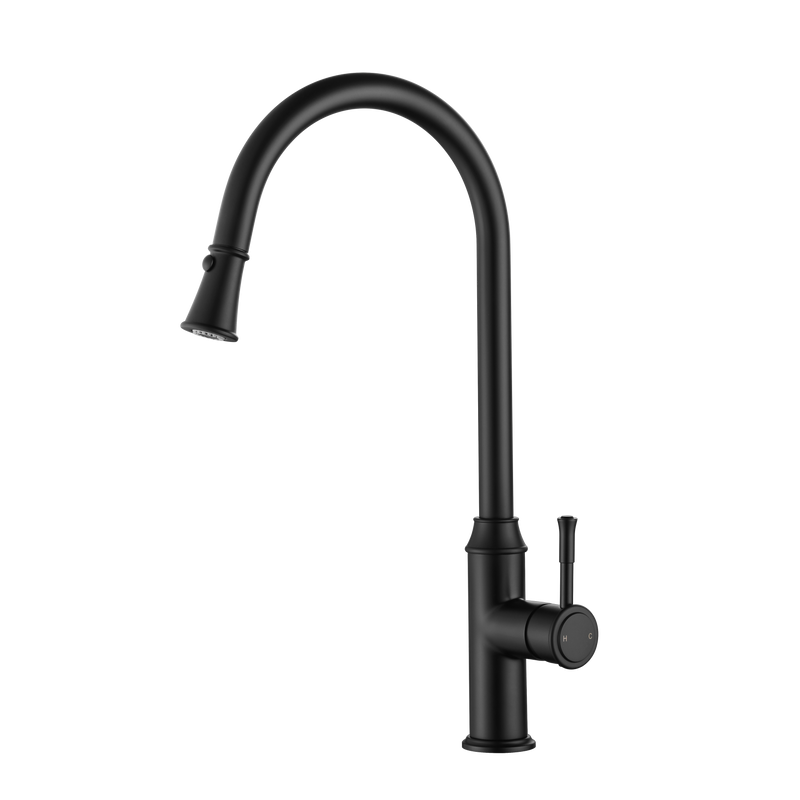 Modern National Montpellier Pull Out Kitchen Mixer