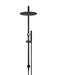 Meir Round Combination Shower Rail, 300mm Rose, Single Function Hand Shower