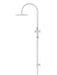 Meir Round Gooseneck Shower Set with 200mm Rose, Single-Function Hand Shower