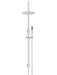 Meir Round Gooseneck Shower Set with 200mm Rose, Single-Function Hand Shower