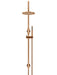 Meir Round Gooseneck Shower Set with 200mm Rose, Single-Function Hand Shower