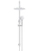 Meir Round Gooseneck Shower Set with 300mm Rose, Three-Function Hand Shower