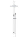 Meir Round Gooseneck Shower Set with 300mm Rose, Single-Function Hand Shower
